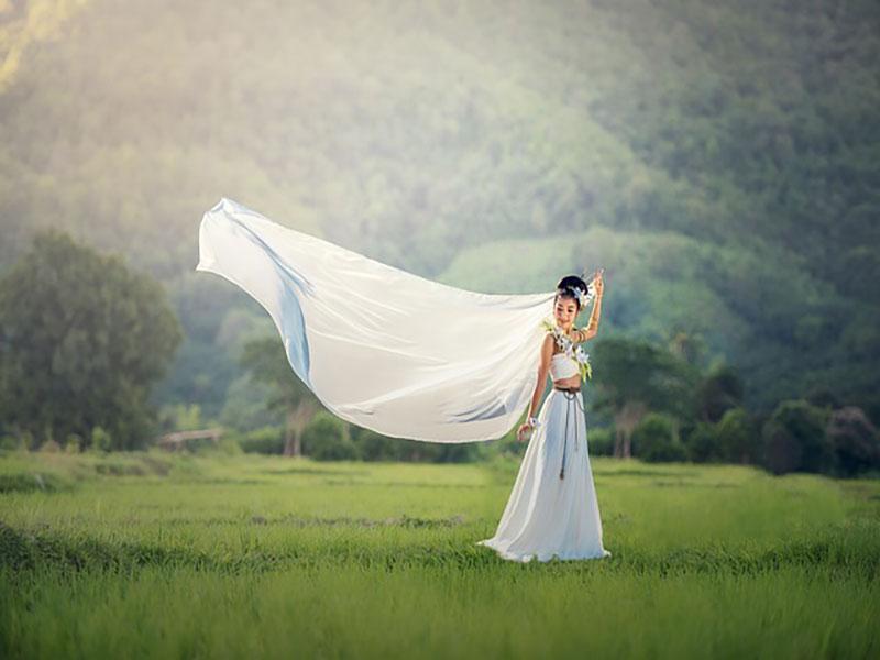 peacock train dress